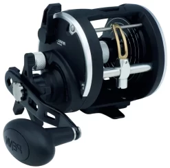 PENN RIVAL LEVEL WIND Rechtshand -Sportfischen 1404000Tn1qWvaBokZYs 1280x1280