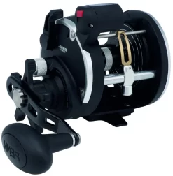 PENN RIVAL LEVEL WIND Rechtshand -Sportfischen 1404003E9U7dhlj0JfYg 1280x1280