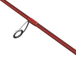 PENN Fierce IV Labrax Combo -Sportfischen 1558955 guide 772223 1280x1280