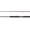 Penn Squadron III Allround Spinning Rod