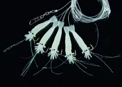 DEGA Shrimp-Deluxe Vorfach -Sportfischen 7702203 01SKO0GBnbP8t50 1280x1280