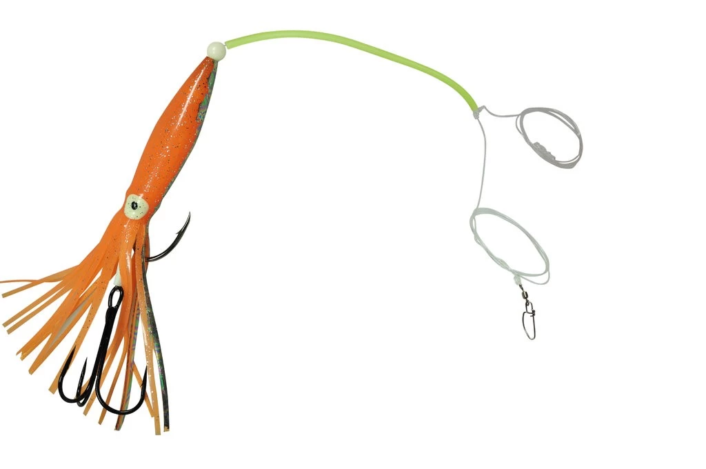 Dieter Eisele Leng Zielfischsystem II 5 Dieter Eisele Leng Zielfischsystem II – Bild 5