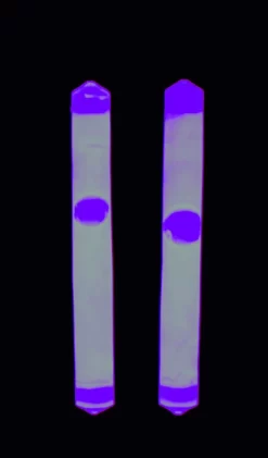 Behr EUROlite Knicklicht 5x 2er Packung -Sportfischen Behr EUROlite Knicklicht pinkbQOHlNhWiPI30 1280x1280