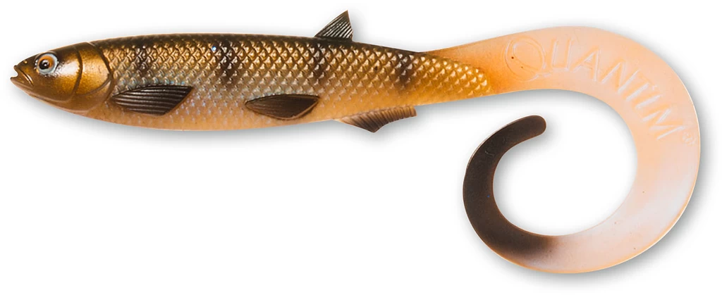 Quantum Yolo Curly Shad - Gummifisch 21cm Oder 26cm 1 Quantum Yolo Curly Shad - Gummifisch 21cm Oder 26cm