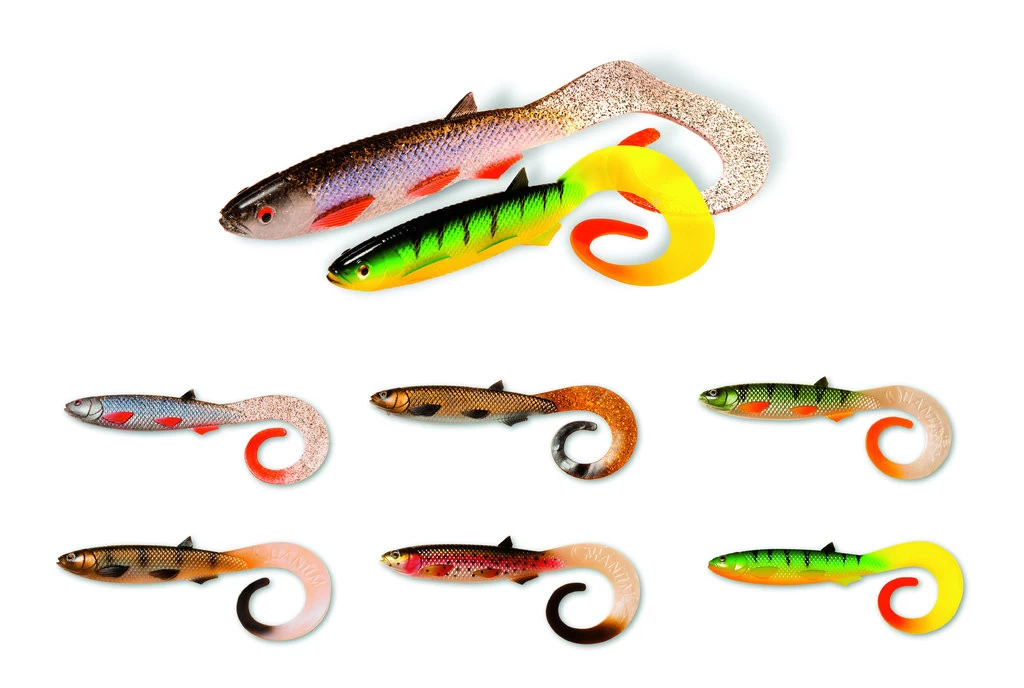 Quantum Yolo Curly Shad - Gummifisch 21cm Oder 26cm 2 Quantum Yolo Curly Shad - Gummifisch 21cm Oder 26cm – Bild 2