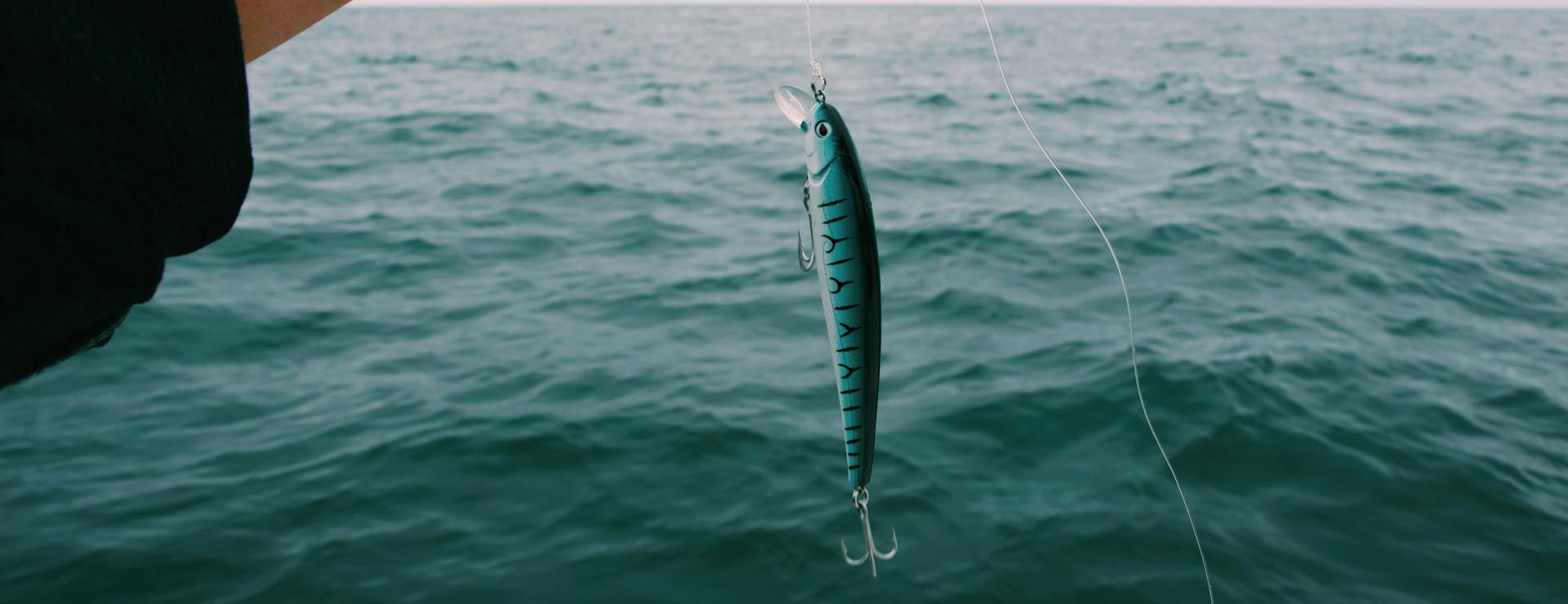 Sportfischen 1 Sportfischen -Sportfischen pexels toulouse 3098597