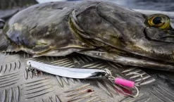 Rhino Chromat Pilker Bleifrei -Sportfischen resize img 2 764358 1280x1280